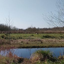 Rustgevend uitzicht op het water vanuit Vakantiehuisje in Oudega, gelegen aan het Heegermeer in de Friese meren.