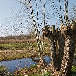 Gezellige woonkamer in Vakantiehuisje in Oudega, gelegen aan het Heegermeer in de Friese meren, met comfortabele zitruimte.