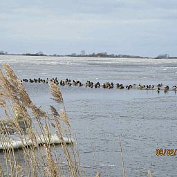 Guest house 080307 - Holiday property Fluessen - FR181