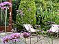 Guest house 100518 • Holiday property Tjeukemeer • Vakantiehuisje in Rohel  • 4 of 19