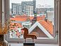 Verblijf 104910 • Appartement Noord-Holland midden • Penthouse Apartment "Trendy" Alkmaar  • 13 van 26