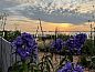 Guest house 120718 • Holiday property Sneekermeer • Vakantiehuisje in Offingawier  • 14 of 26