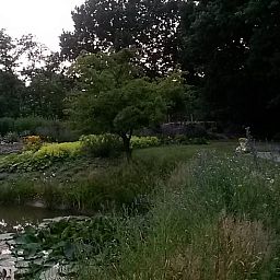 Guest house 130105 - Holiday property Bergumermeer - Vakantiehuis in Burgum