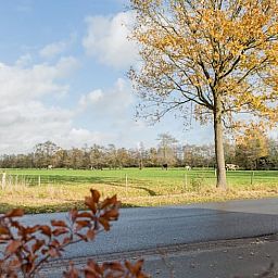 Unterkunft 130305 - Ferienhaus Bergumermeer - Huisje in Sumar