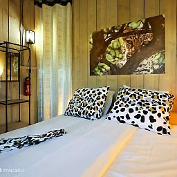 Unterkunft 150137 - Zelthaus  - Grutte Fiif Safarilodge met airco