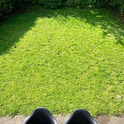 Verblijf 1605117 - Vakantiewoning Lauwersmeer - Vakantiehuis 160 Olivia