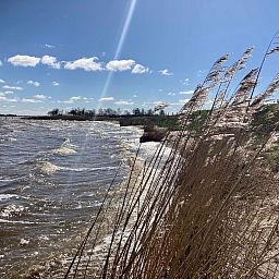 Guest house 1605120 - Holiday property Lauwersmeer - Vakantiehuis 177 Sonnenschein