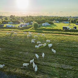 Unterkunft 1605187 - Mobilheim Lauwersmeer - Esonstad | Campingplaats met privé sanitair | CS5