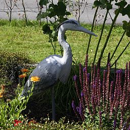 Verblijf 160552 - Vakantiewoning Lauwersmeer - Vakantiehuis Haus Reiher am Lauwersmeer