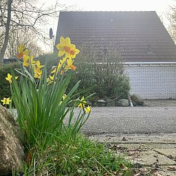Verblijf 160582 - Vakantiewoning Lauwersmeer - Vakantiehuis Ruhiges Ferienhaus mit großer offener Küche
