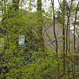 Unterkunft 170309 - Ferienhaus Midden Drenthe - It Bosk