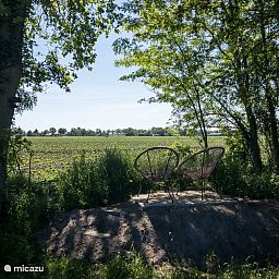 Unterkunft 170319 - Ferienhaus Midden Drenthe - Skog Lodge