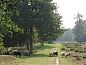 Guest house 170408 • Holiday property Midden Drenthe • Vakantiehuis in Schoonloo  • 3 of 14