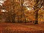 Guest house 170408 • Holiday property Midden Drenthe • Vakantiehuis in Schoonloo  • 12 of 14