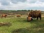 Guest house 170425 • Holiday property Midden Drenthe • Huisje in Schoonloo  • 14 of 26