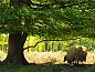 Guest house 170439 • Holiday property Midden Drenthe • Vakantiehuisje in Schoonloo  • 9 of 15