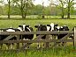 Guest house 170439 • Holiday property Midden Drenthe • Vakantiehuisje in Schoonloo  • 11 of 15