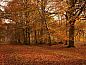 Guest house 170439 • Holiday property Midden Drenthe • Vakantiehuisje in Schoonloo  • 14 of 15