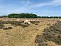 Unterkunft 170613 • Ferienhaus Midden Drenthe • Vakantiehuisje in Beilen  • 13 von 13