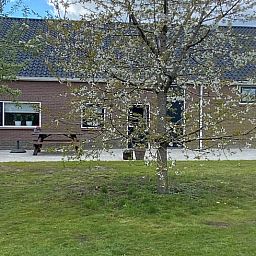 Gruener Garten mit bluehendem Baum im Ferienhaus in Beilen, Zentral-Drenthe, ideal fuer Naturliebhaber.