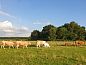 Unterkunft 170717 • Ferienhaus Midden Drenthe • Vakantiehuisje in Grolloo  • 6 von 9