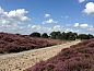 Guest house 171603 • Holiday property Midden Drenthe • Huisje in Rolde  • 14 of 18