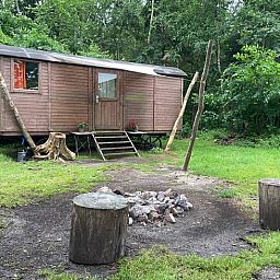 Cottage in Papenvoort, a charming cottage in the nature of Middle Drenthe, offers a rustic experience with campfire pit and wooded area.
