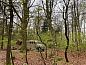 Guest house 172010 • Holiday property Midden Drenthe • Vakantiehuis in Papenvoort  • 13 of 19