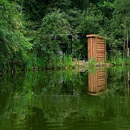 Rustieke natuurvijver bij Vakantiehuisje in Papenvoort, Midden Drenthe, omgeven door weelderig groen en serene omgeving.
