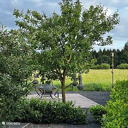 Guest house 172018 - Chalet Midden Drenthe - Chalet Drenthe, uniek vrij uitzicht