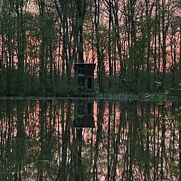 Unterkunft 172030 - Ferienhaus Midden Drenthe - Vakantiehuisje in Papenvoort