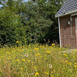 Bloemrijke tuin bij Vakantiehuis in Westerbork, gelegen in het schilderachtige Midden Drenthe, Drenthe.