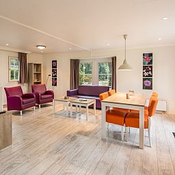 Ruime woonkamer van Dotterbloem Chalet 4 in Hooghalen, Drenthe, met kleurrijk interieur en uitzicht op de groene omgeving.