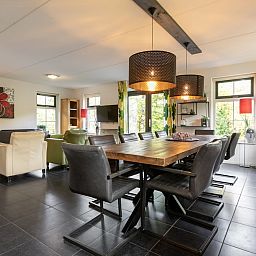Geraeumiges Wohnzimmer der Zandduin Villa mit Sauna 10, einem Ferienhaus in Hooghalen, Drenthe, mit moderner Einrichtung und viel natuerlichem Licht.