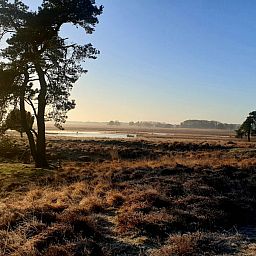 Gezellig terras bij DG1928 vakantiehuis in Hooghalen, Drenthe.