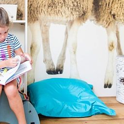 Unterkunft 1732100 - Bungalow Midden Drenthe - Hof van Saksen | 8-persoons 'kinder'boerderij | 8CK