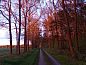 Guest house 173309 • Holiday property Midden Drenthe • Rustig gelegen 3 persoons vakantiehuis in de bosrijke  • 13 of 23