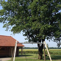 Speelplek en natuurlijke omgeving bij Vakantiehuisje in Witteveen, omgeven door de prachtige natuur van Drenthe.