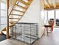 Unterkunft 173409 • Bungalow Midden Drenthe • Orveltermarke | 6-persoons hondenbungalow | 6CD  • 9 von 18