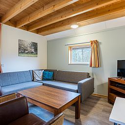 Unterkunft 173432 - Bungalow Midden Drenthe - Orveltermarke | 6-persoons kinderbungalow | 6BK