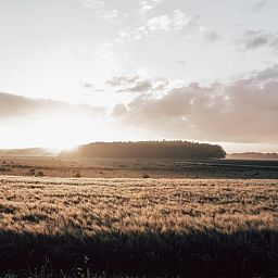 Adembenemend uitzicht op het Drentse landschap bij Vakantiehuis in Odoorn, perfect voor natuurliefhebbers.