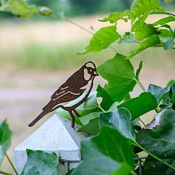 Decoratief vogeltje bij Huisje in Nieuw Balinge, vakantiehuis in de natuur van Midden Drenthe.