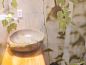 Guest house 174001 • Holiday property Midden Drenthe • Vakantiehuisje in Westdorp  • 5 of 16