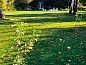 Guest house 174001 • Holiday property Midden Drenthe • Vakantiehuisje in Westdorp  • 8 of 16