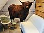 Guest house 174001 • Holiday property Midden Drenthe • Vakantiehuisje in Westdorp  • 14 of 16