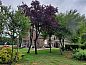 Guest house 174403 • Holiday property Midden Drenthe • Vakantiehuisje in Wezup  • 2 of 26