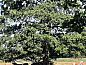 Guest house 174403 • Holiday property Midden Drenthe • Vakantiehuisje in Wezup  • 13 of 26