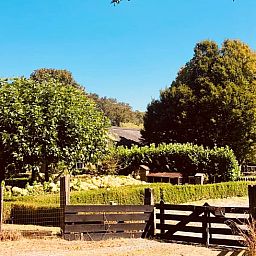 Unterkunft 174602 - Ferienhaus Midden Drenthe - Vakantiehuisje in Zuidveld