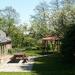 Guest house 180106 - Holiday property Noord Drenthe - Huisje in Peize