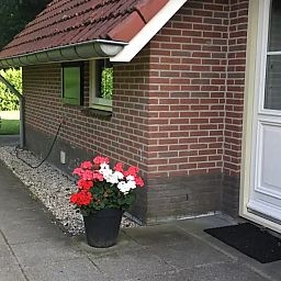 Guest house 180225 - Holiday property Noord Drenthe - Zanglijster 17